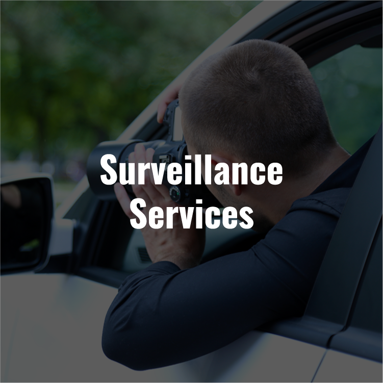 Surveillance Services Concept